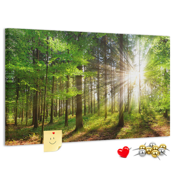 Bacheca in sughero decorata con motivo foresta verde