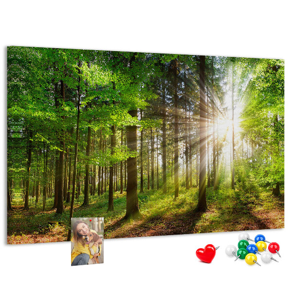 Bacheca in sughero decorata con motivo foresta verde