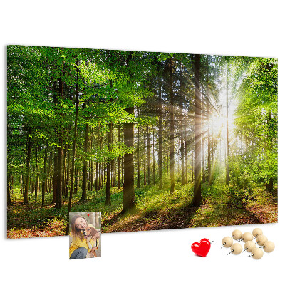 Bacheca in sughero decorata con motivo foresta verde