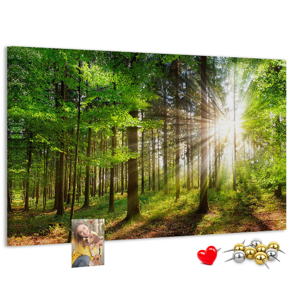 Bacheca in sughero decorata con motivo foresta verde