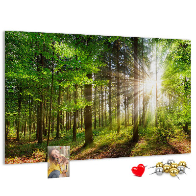 Bacheca in sughero decorata con motivo foresta verde