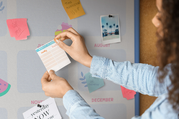 Bacheca in sughero agenda annuale colorata con motivo a frutta