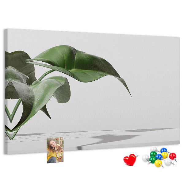 Lavagna di sughero con foglie delicate su sfondo minimalista