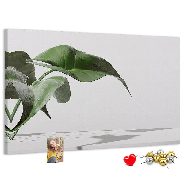 Lavagna di sughero con foglie delicate su sfondo minimalista