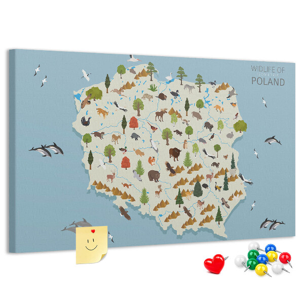 Lavagna di sughero con stampa della fauna polacca su mappa colorata