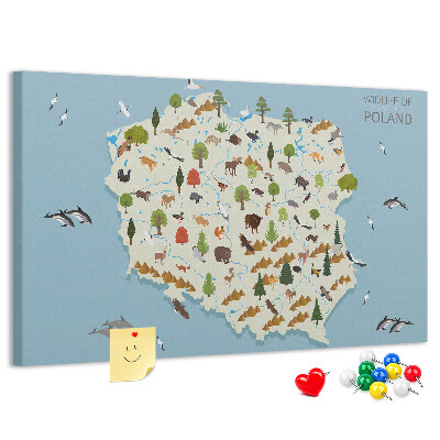 Lavagna di sughero con stampa della fauna polacca su mappa colorata