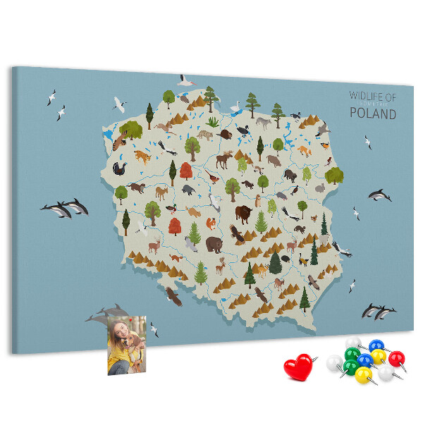 Lavagna di sughero con stampa della fauna polacca su mappa colorata