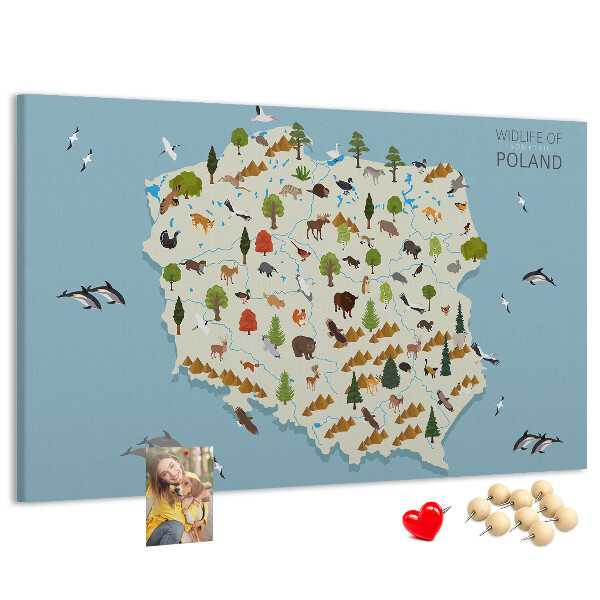 Lavagna di sughero con stampa della fauna polacca su mappa colorata