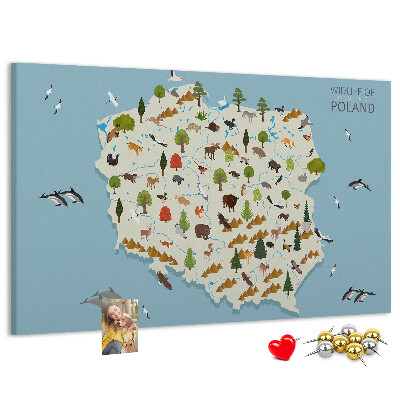 Lavagna di sughero con stampa della fauna polacca su mappa colorata