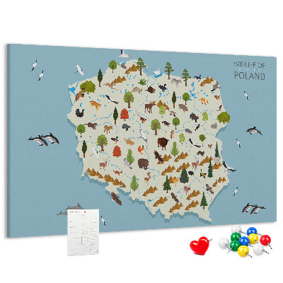 Lavagna di sughero con stampa della fauna polacca su mappa colorata