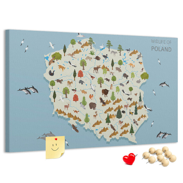 Lavagna di sughero con stampa della fauna polacca su mappa colorata