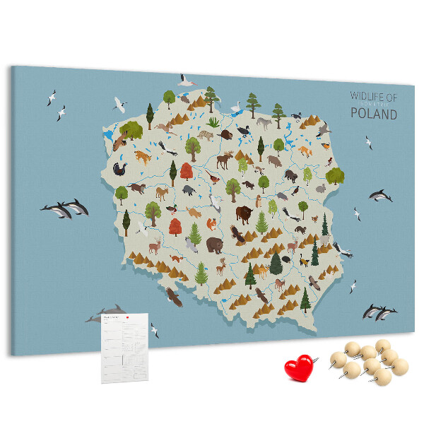 Lavagna di sughero con stampa della fauna polacca su mappa colorata