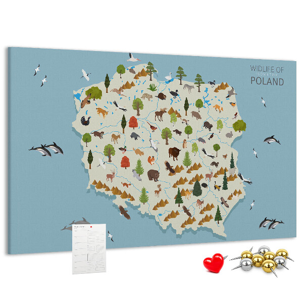 Lavagna di sughero con stampa della fauna polacca su mappa colorata