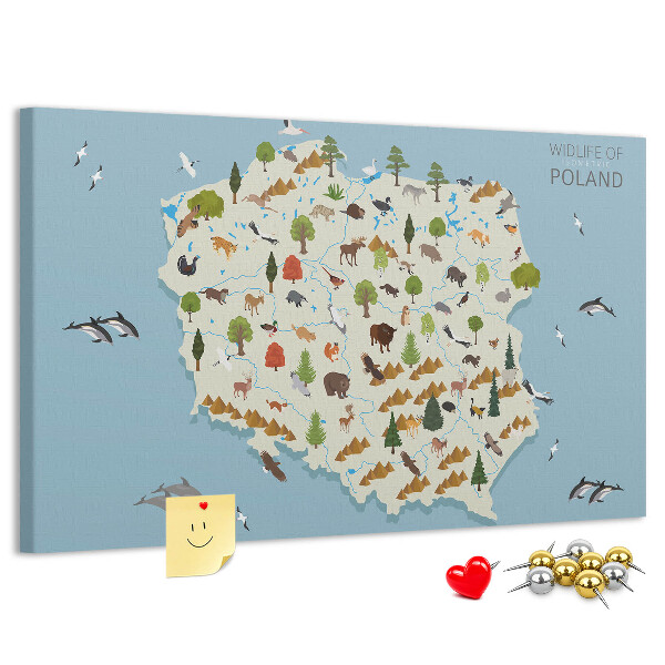 Lavagna di sughero con stampa della fauna polacca su mappa colorata