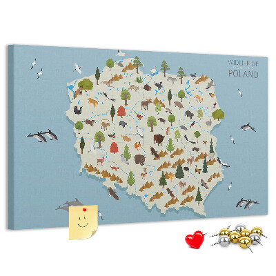 Lavagna di sughero con stampa della fauna polacca su mappa colorata