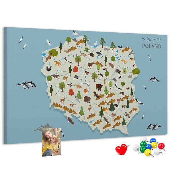 Lavagna di sughero con stampa della fauna polacca su mappa colorata