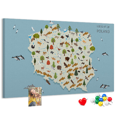 Lavagna di sughero con stampa della fauna polacca su mappa colorata