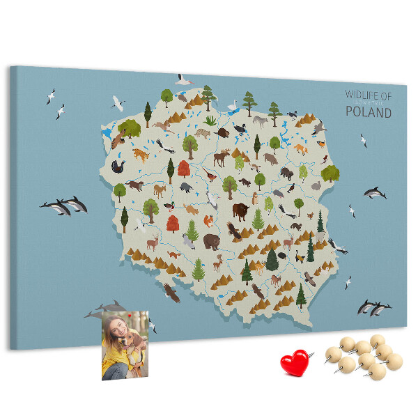 Lavagna di sughero con stampa della fauna polacca su mappa colorata