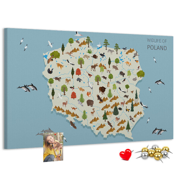 Lavagna di sughero con stampa della fauna polacca su mappa colorata