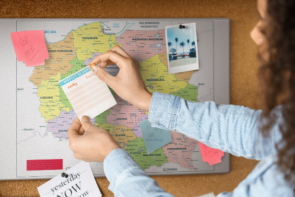 Bacheca in sughero mappa della Polonia con voivodati colorati