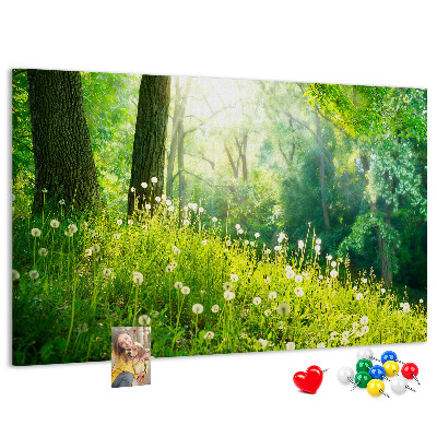 Bacheca in sughero con stampa foresta verde e fiori di tarassaco