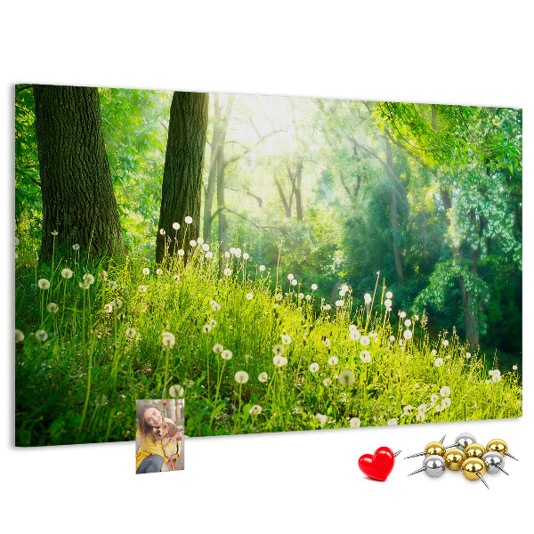 Bacheca in sughero con stampa foresta verde e fiori di tarassaco