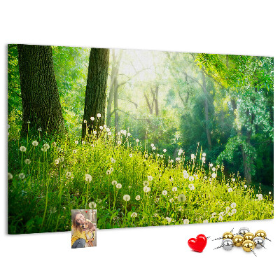 Bacheca in sughero con stampa foresta verde e fiori di tarassaco