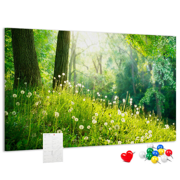 Bacheca in sughero con stampa foresta verde e fiori di tarassaco