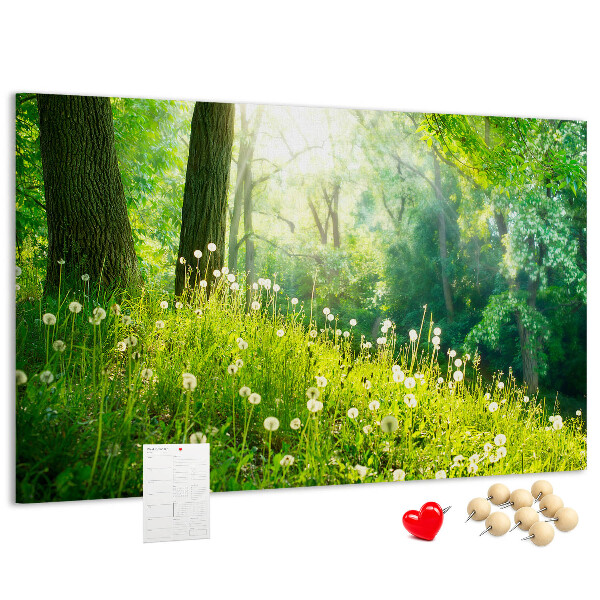 Bacheca in sughero con stampa foresta verde e fiori di tarassaco