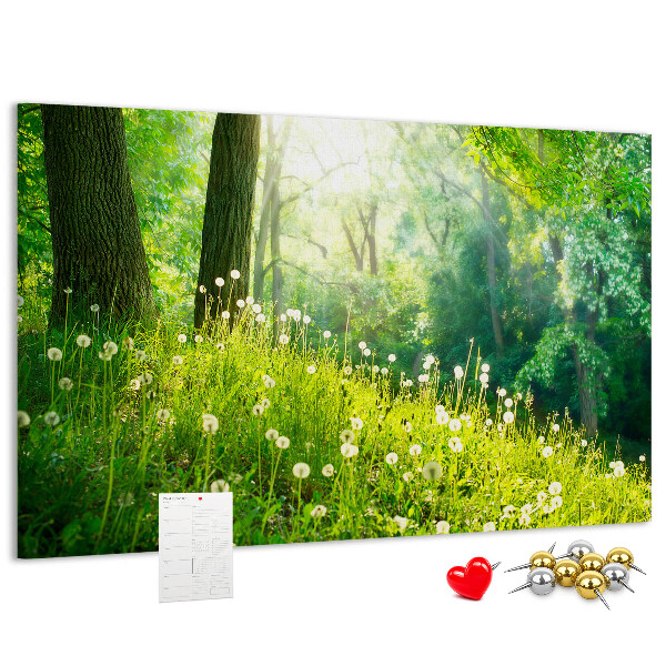 Bacheca in sughero con stampa foresta verde e fiori di tarassaco