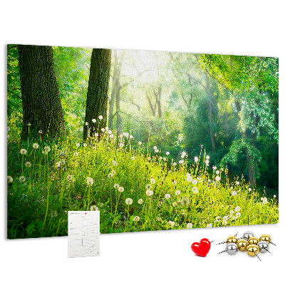 Bacheca in sughero con stampa foresta verde e fiori di tarassaco