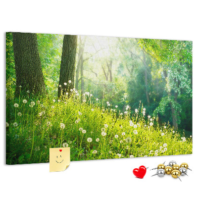 Bacheca in sughero con stampa foresta verde e fiori di tarassaco