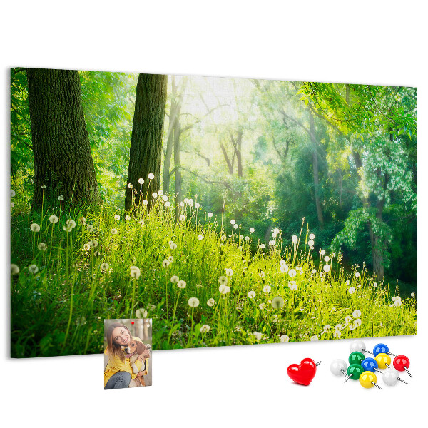 Bacheca in sughero con stampa foresta verde e fiori di tarassaco