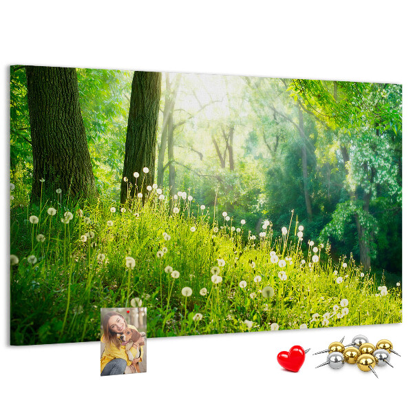 Bacheca in sughero con stampa foresta verde e fiori di tarassaco