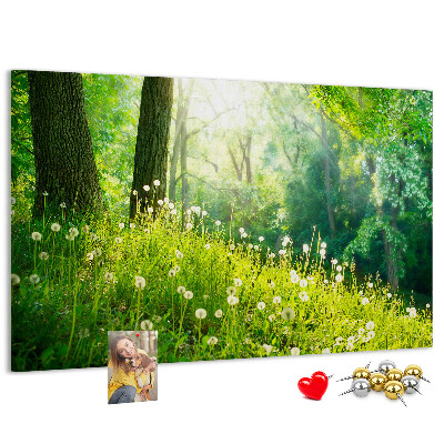 Bacheca in sughero con stampa foresta verde e fiori di tarassaco