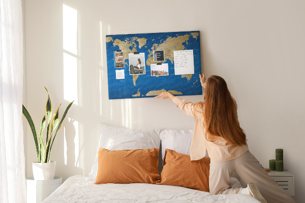 Mappa del mondo con puntine lavagna in sughero