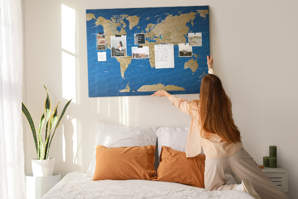 Mappa del mondo con puntine lavagna in sughero