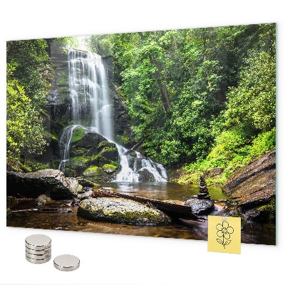 Lavagna magnetica per calamite cascata nella foresta