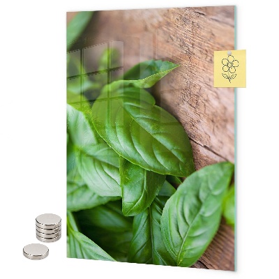 Pittura lavagna magnetica Basilico