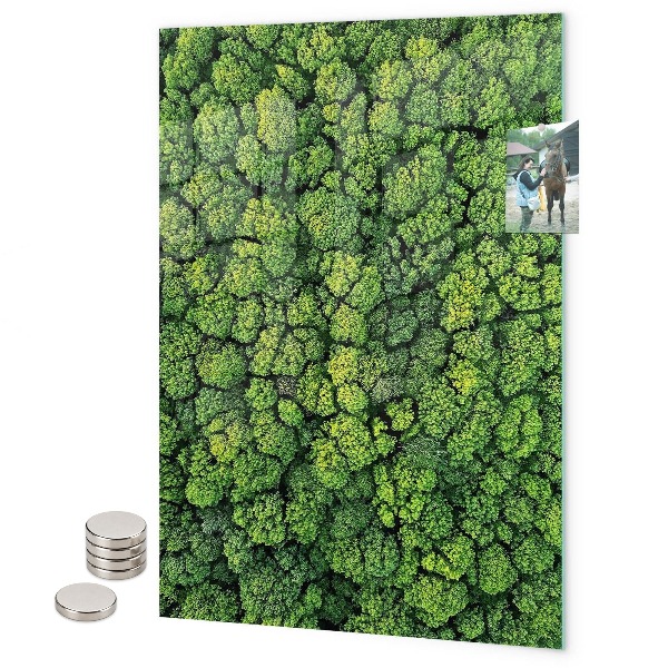 Pittura lavagna magnetica Basilico