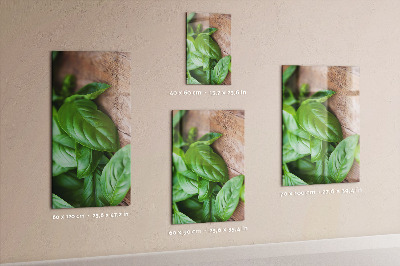 Pittura lavagna magnetica Basilico