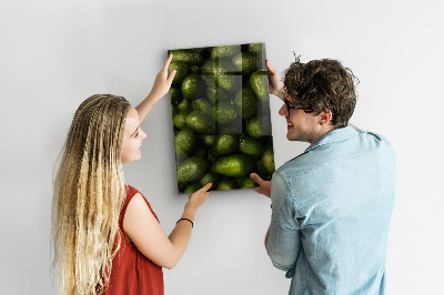 Lavagna magnetica da parete Avocado