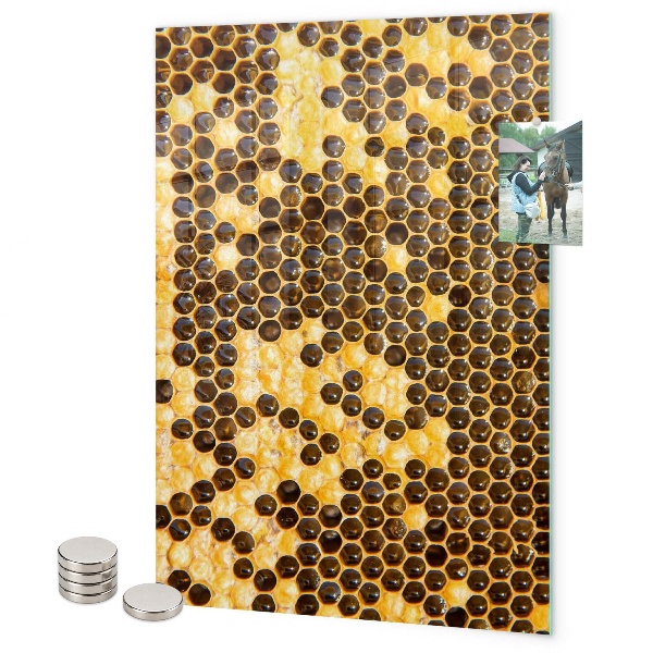 Lavagna magnetica da parete Nido d'ape