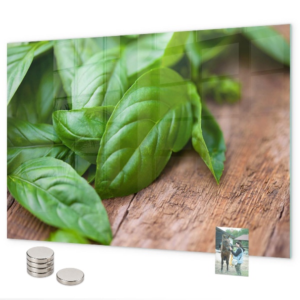 Lavagna magnetica foglie di basilico