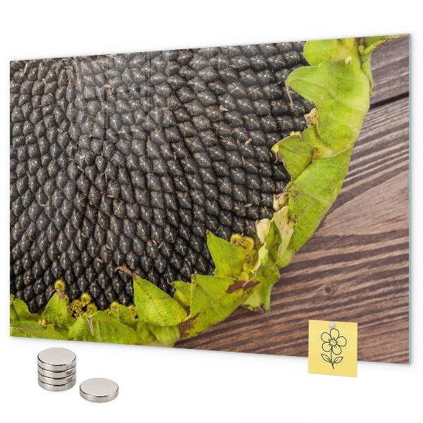Lavagna magnetica per calamite Girasole