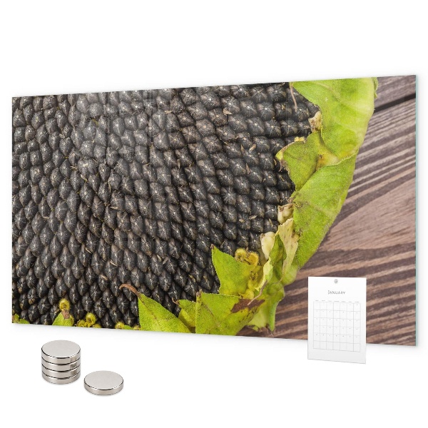 Lavagna magnetica per calamite Girasole