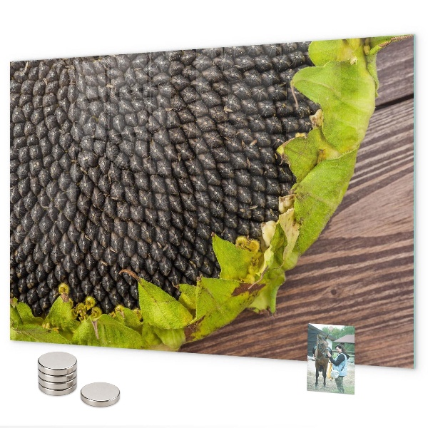 Lavagna magnetica per calamite Girasole