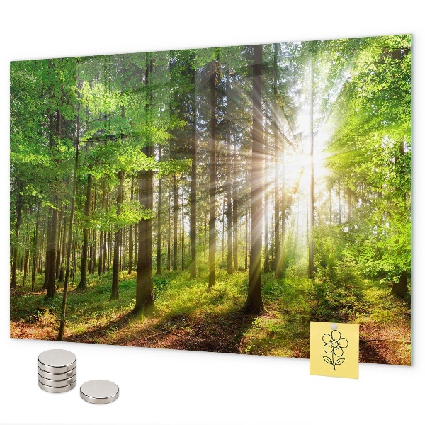 Lavagna magnetica L'alba nella foresta