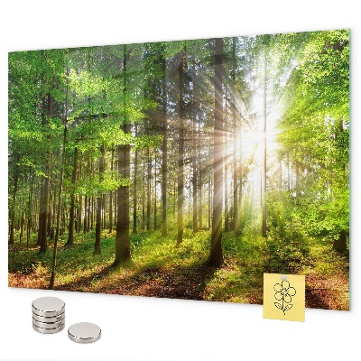 Lavagna magnetica L'alba nella foresta