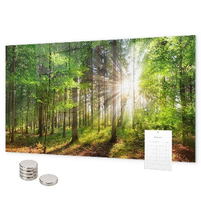 Lavagna magnetica L'alba nella foresta